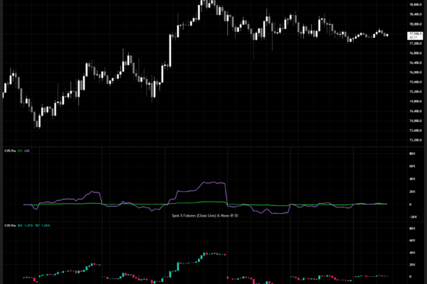 Volume is king - not price action! With CVD Pro's aggregation, no volume escapes your analysis! Volume is king - not price action! With CVD Pro's aggregation, no volume escapes your analysis!